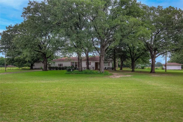 a view of a trees in front of a house with a fountain