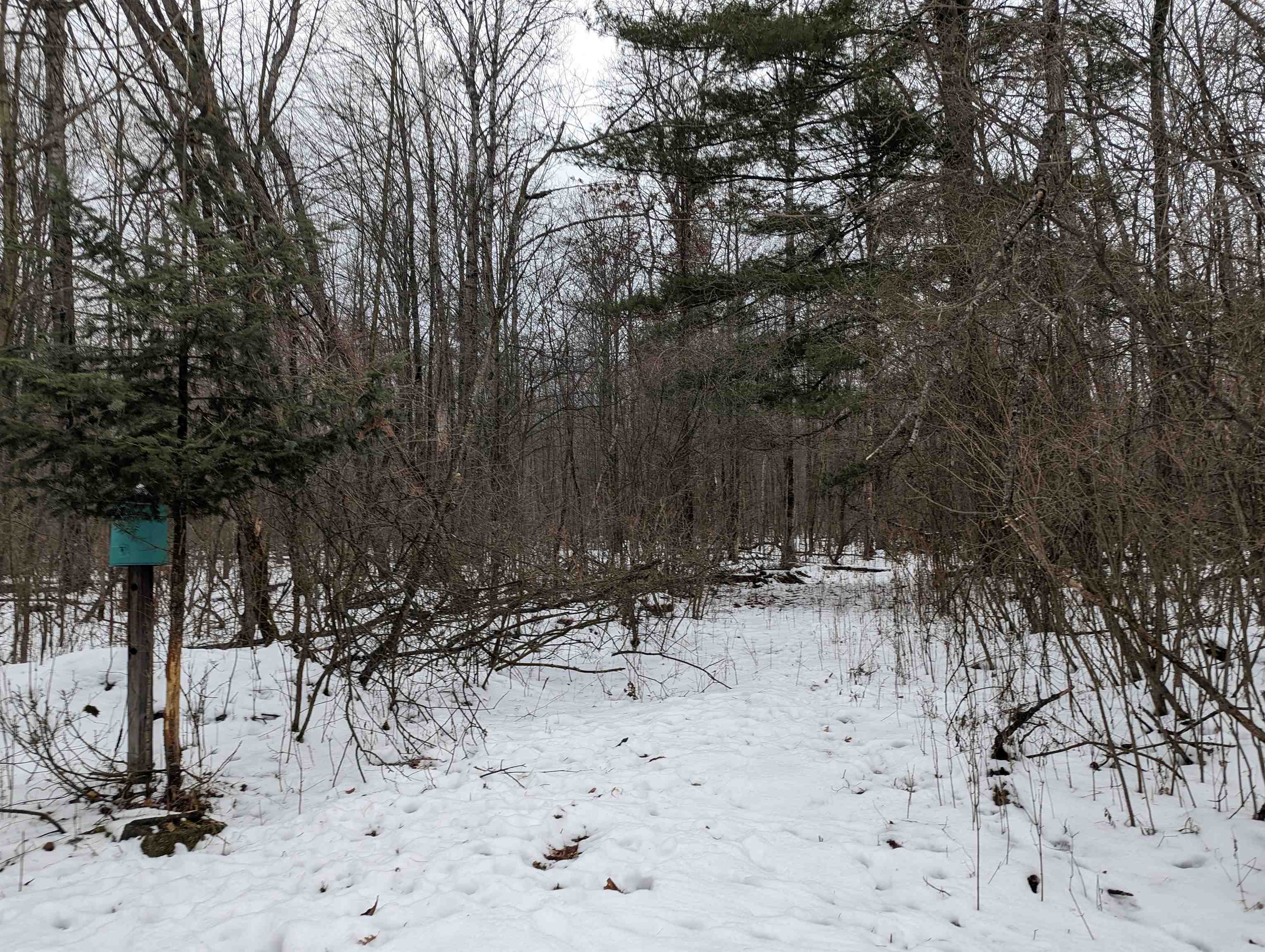 N/a N/a Nolbock Road Omer, MI 48749 - Photo 14 of 17
