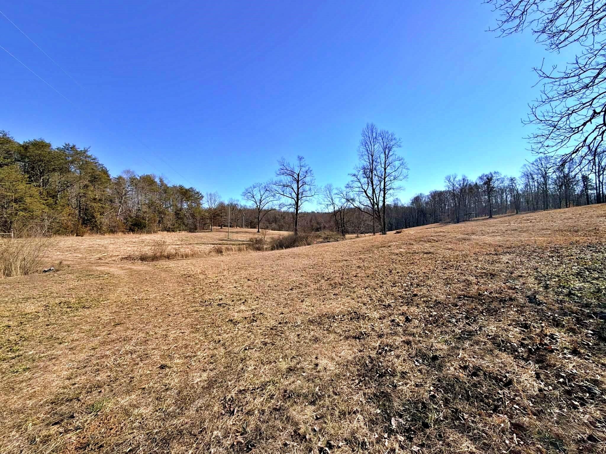1678 Ward Road Decatur, TN 37322 - Photo 12 of 20 Gallery Image 12