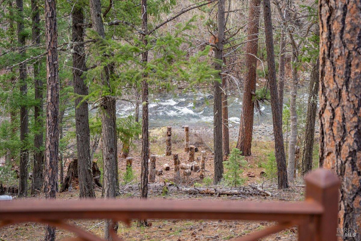 100 Blue Wolf Ranch Callahan, CA 96014 - Photo 34 of 46