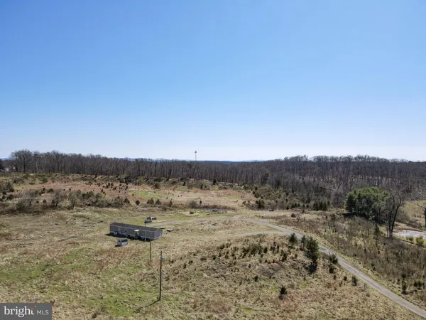 a view of a dry yard with trees