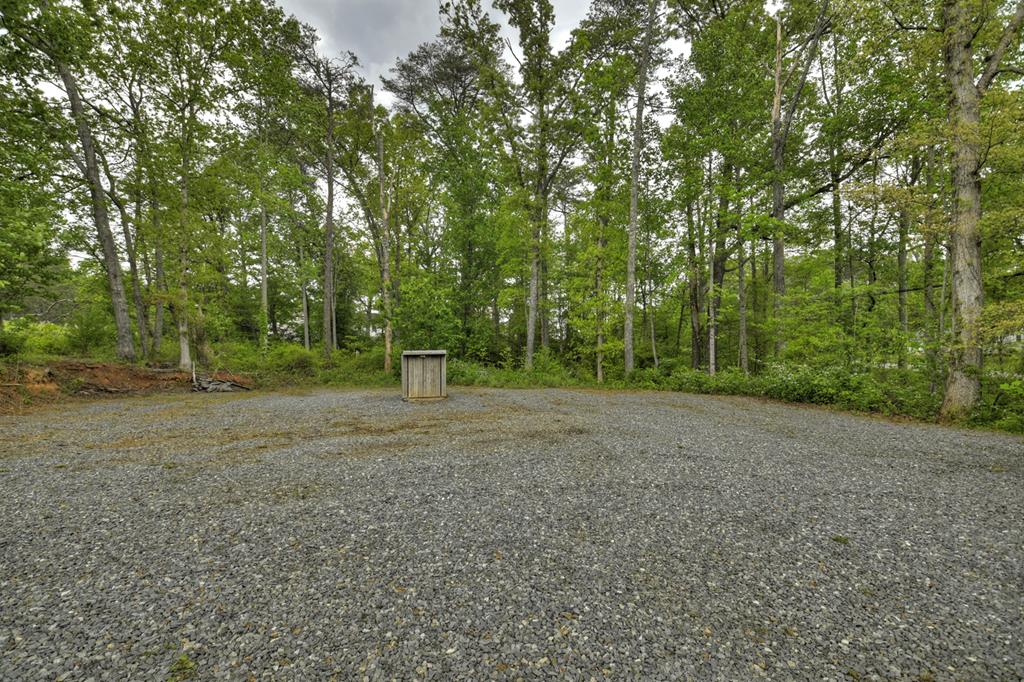 870-868 Sugar Creek Road Blue Ridge, GA 30513 - Photo 76 of 84 a view of a forest with trees in the background