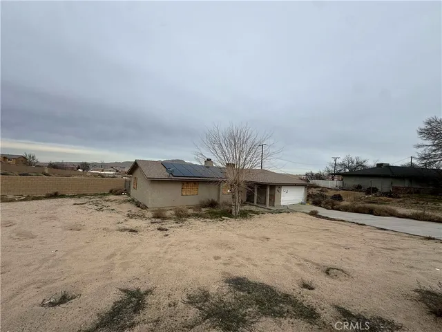 a big yard with a large tree