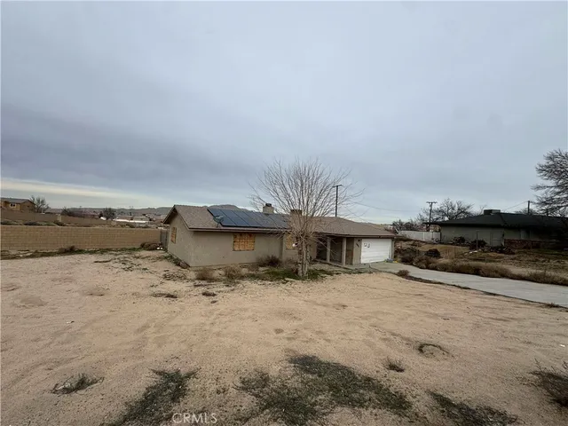 a big yard with a large tree