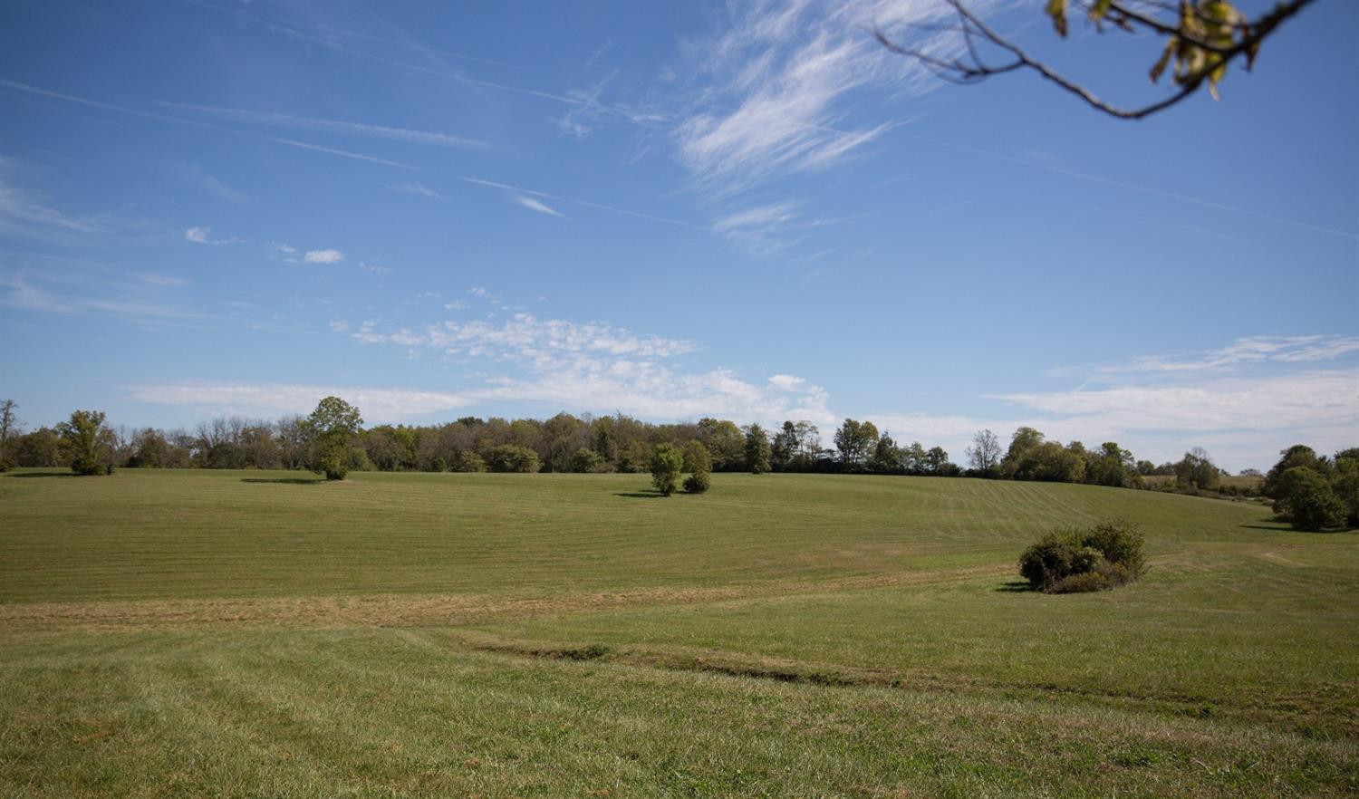 455 Iron Works Road Paris, KY 40361 - Photo 5 of 23 Photo 5