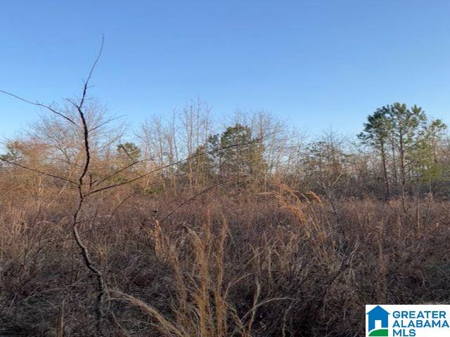 0 Highway 231, Unit 1 Vincent, AL 35178 - Photo 5 of 6