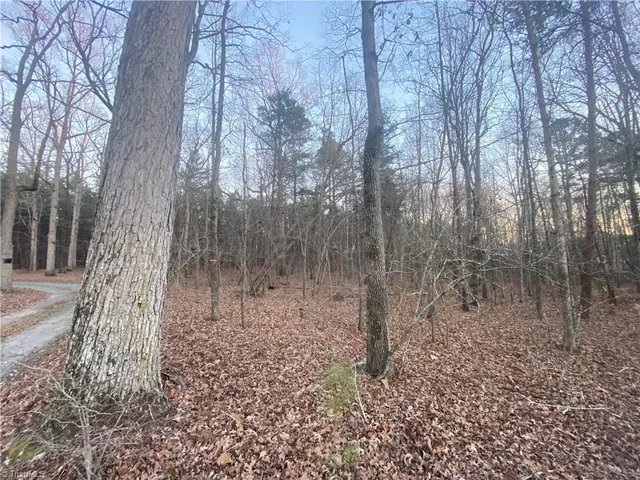 $68,000 | 4707 Jaylee Place, Julian, NC 27283