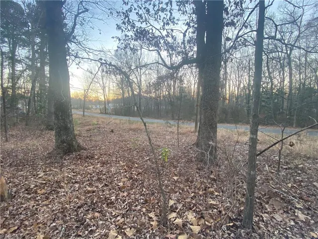 $68,000 | 4707 Jaylee Place, Julian, NC 27283