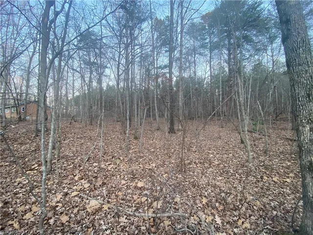 $68,000 | 4707 Jaylee Place, Julian, NC 27283