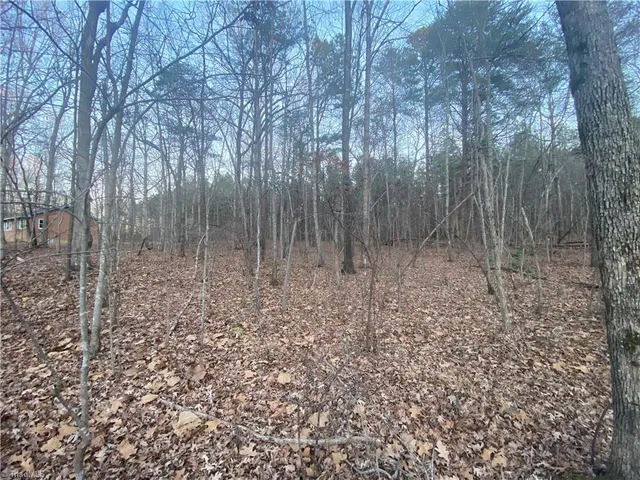 $68,000 | 4707 Jaylee Place, Julian, NC 27283