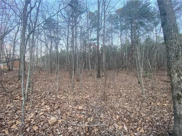 $68,000 | 4707 Jaylee Place, Julian, NC 27283