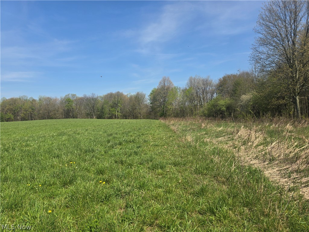Tische Road Jefferson, OH 44047 - Photo 19 of 21