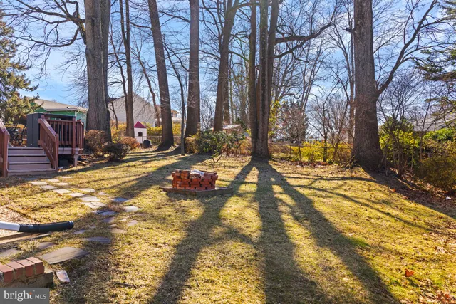 a view of yard with trees