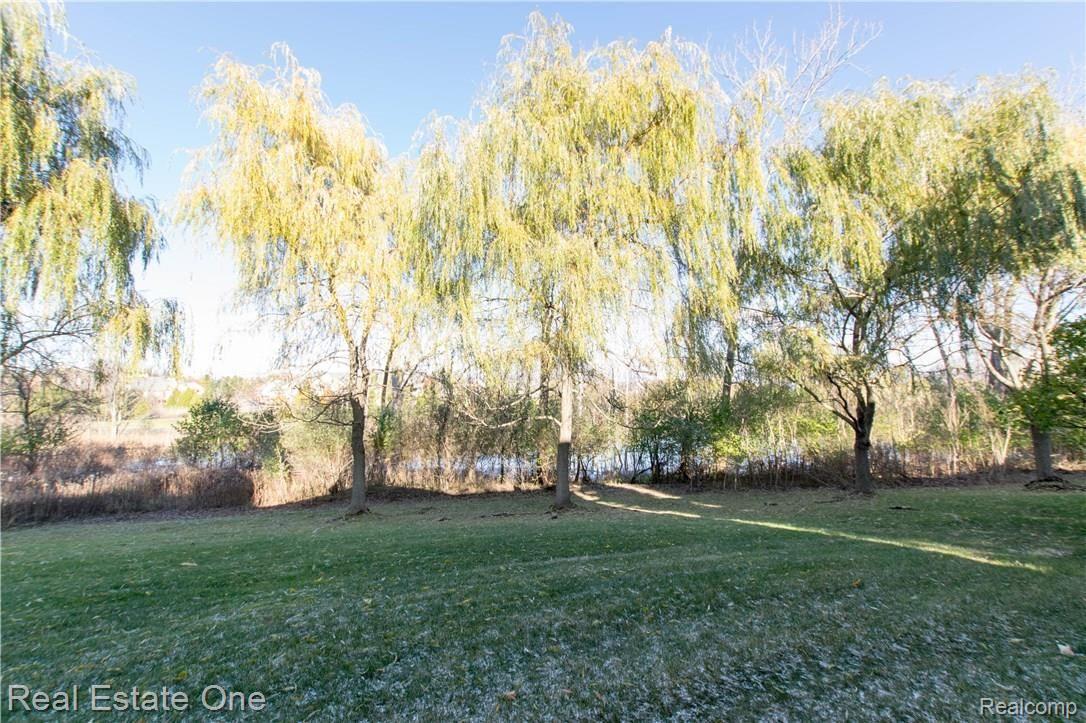 5195 Belmonte Drive Rochester, MI 48306 - Photo 23 of 23 Nice Size Yard Space