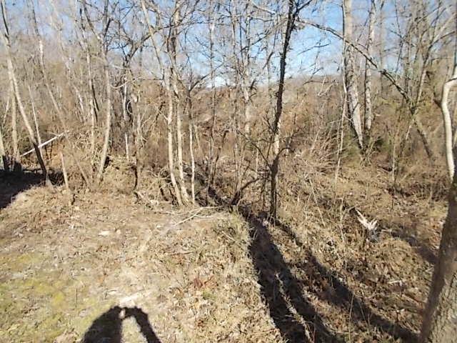 8119 Primm Springs Road Lyles, TN 37098 - Photo 11 of 12