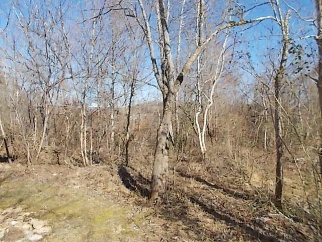 8119 Primm Springs Road Lyles, TN 37098 - Photo 12 of 12
