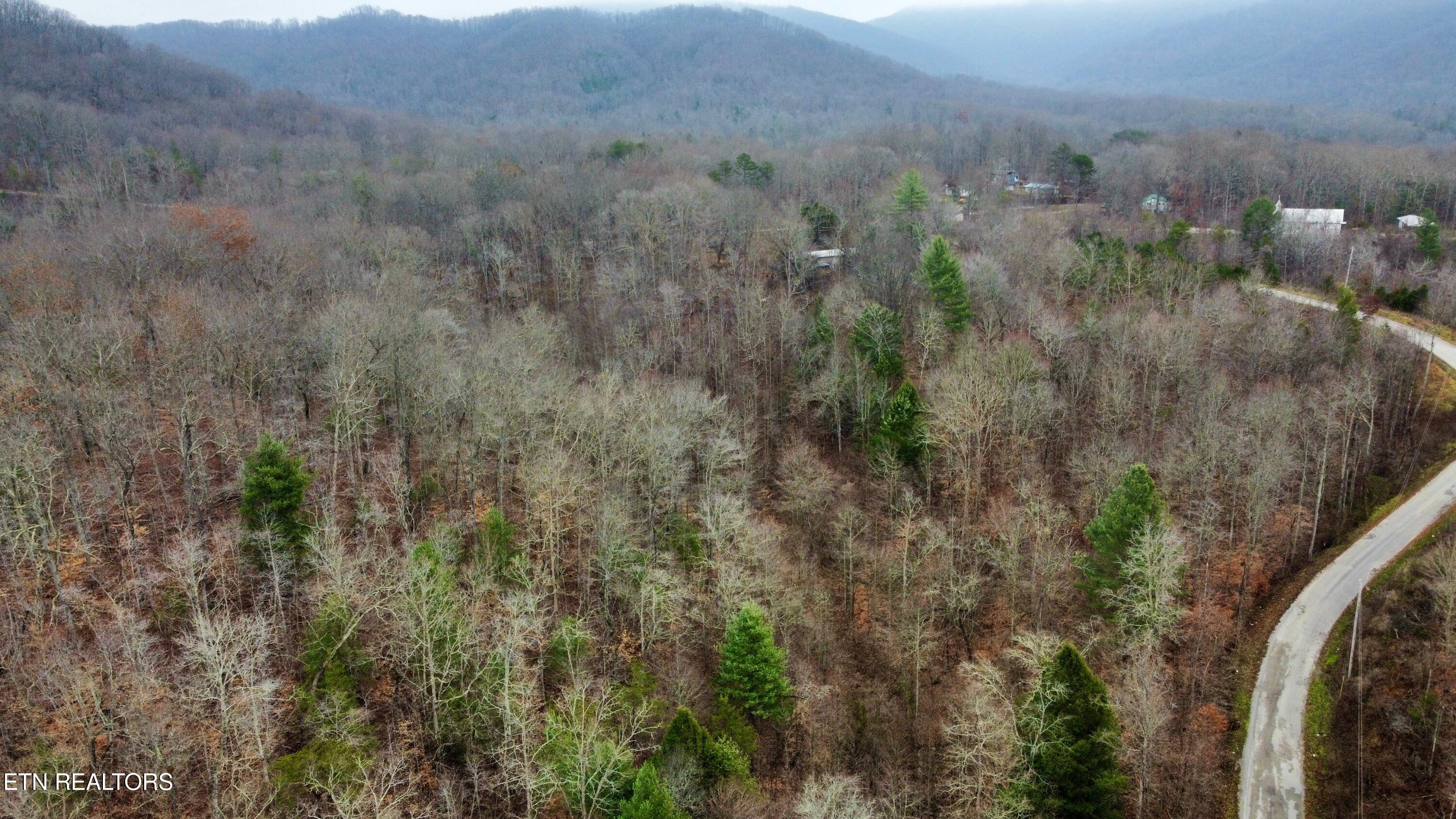 0 Rock House Road Pioneer, TN 37847 - Photo 8 of 14 PIC 9 RH