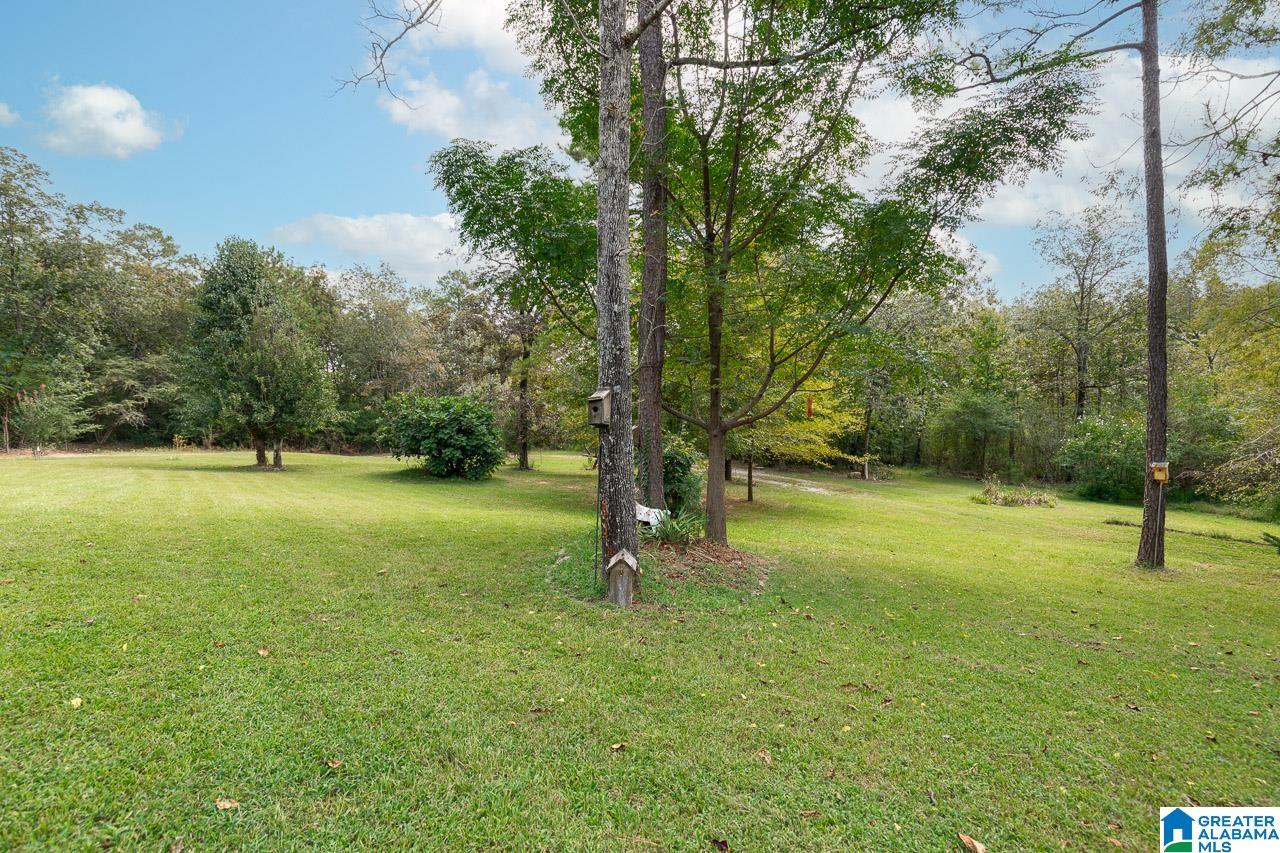 120 Brown Road Bessemer, AL 35022 - Photo 36 of 41