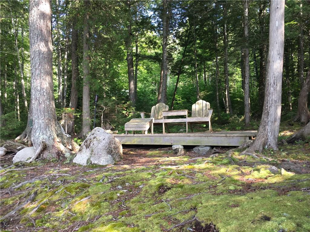 126 Pug Lakes Road Lakeville, ME 04487 - Photo 14 of 20 Photo
