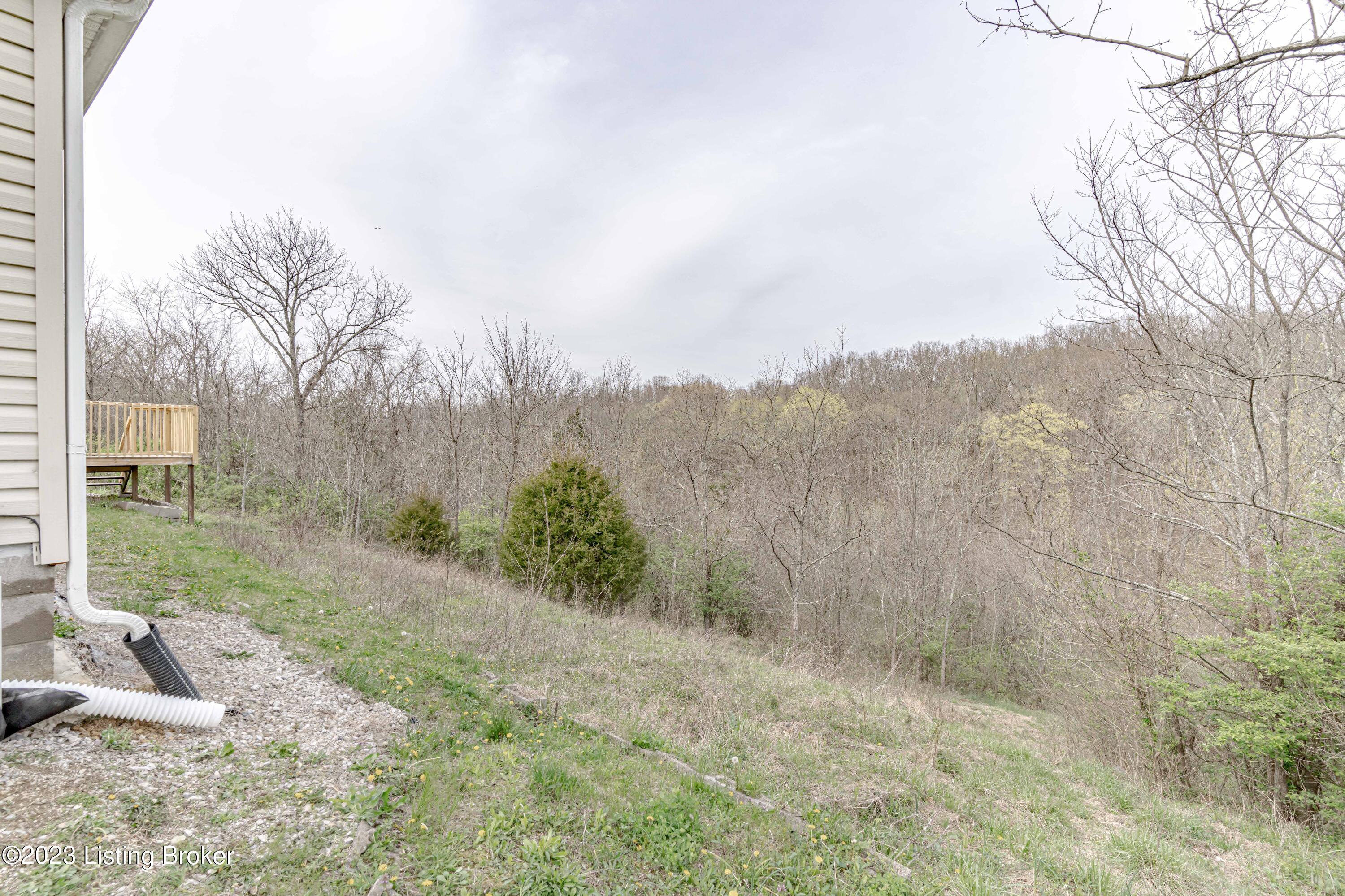 9920 Vigo Road Bagdad, KY 40003 - Photo 52 of 55 DSC03085