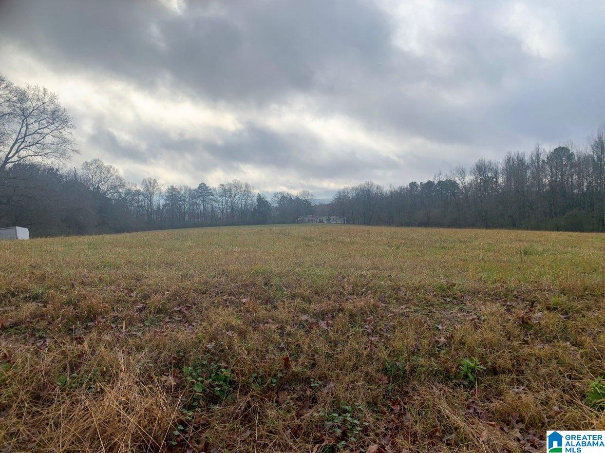 0 Souls Chapel Road, Unit 1 Oneonta, AL 35121 - Photo 3 of 6