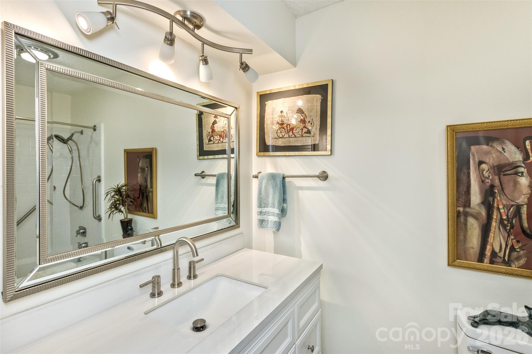 503 Crowfields Lane Asheville, NC 28803 - Photo 20 of 41 a bathroom with a sink mirror and vanity