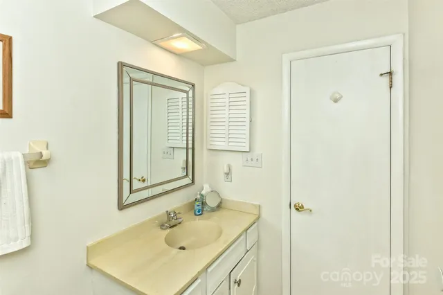 a bathroom with a sink a mirror and a shower