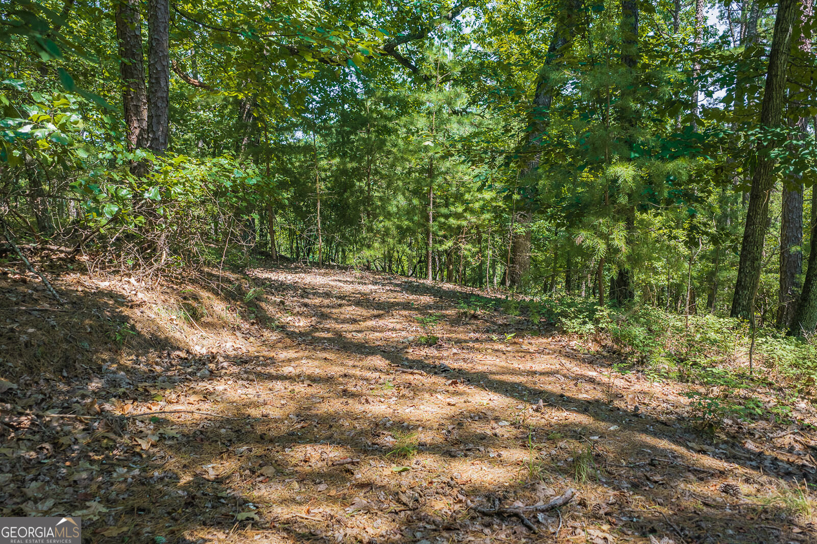 694-695 Railey Ridge, Unit 694695 Ranger, GA 30734 - Photo 9 of 15 Gallery Image 9