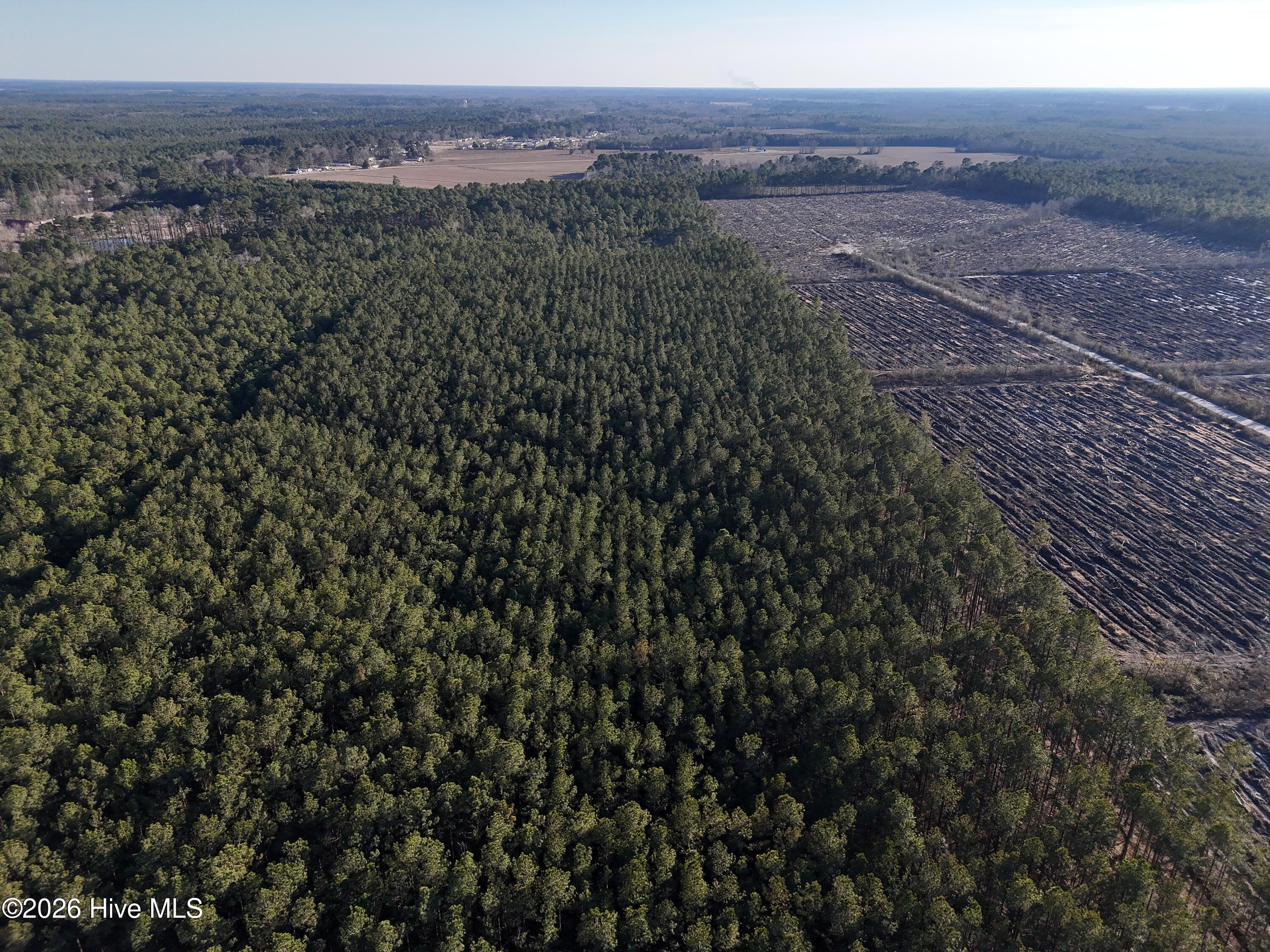 40-acres Haw Branch Road Beulaville, NC 28518 - Photo 3 of 10 dji_fly_20260214_161526_0157_17711038303