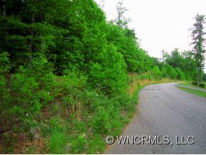 110 Vintage Road Candler, NC 28715 - Photo 3 of 6 Gallery Image 3