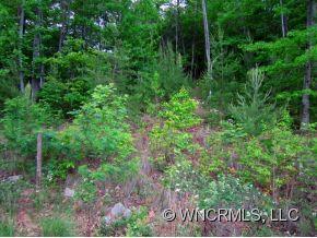 110 Vintage Road Candler, NC 28715 - Photo 5 of 6 Gallery Image 5