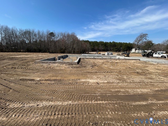 16657 Loving Union Road Disputanta, VA 23842 - Photo 8 of 14