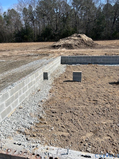 16657 Loving Union Road Disputanta, VA 23842 - Photo 9 of 14 a view of a yard with white house