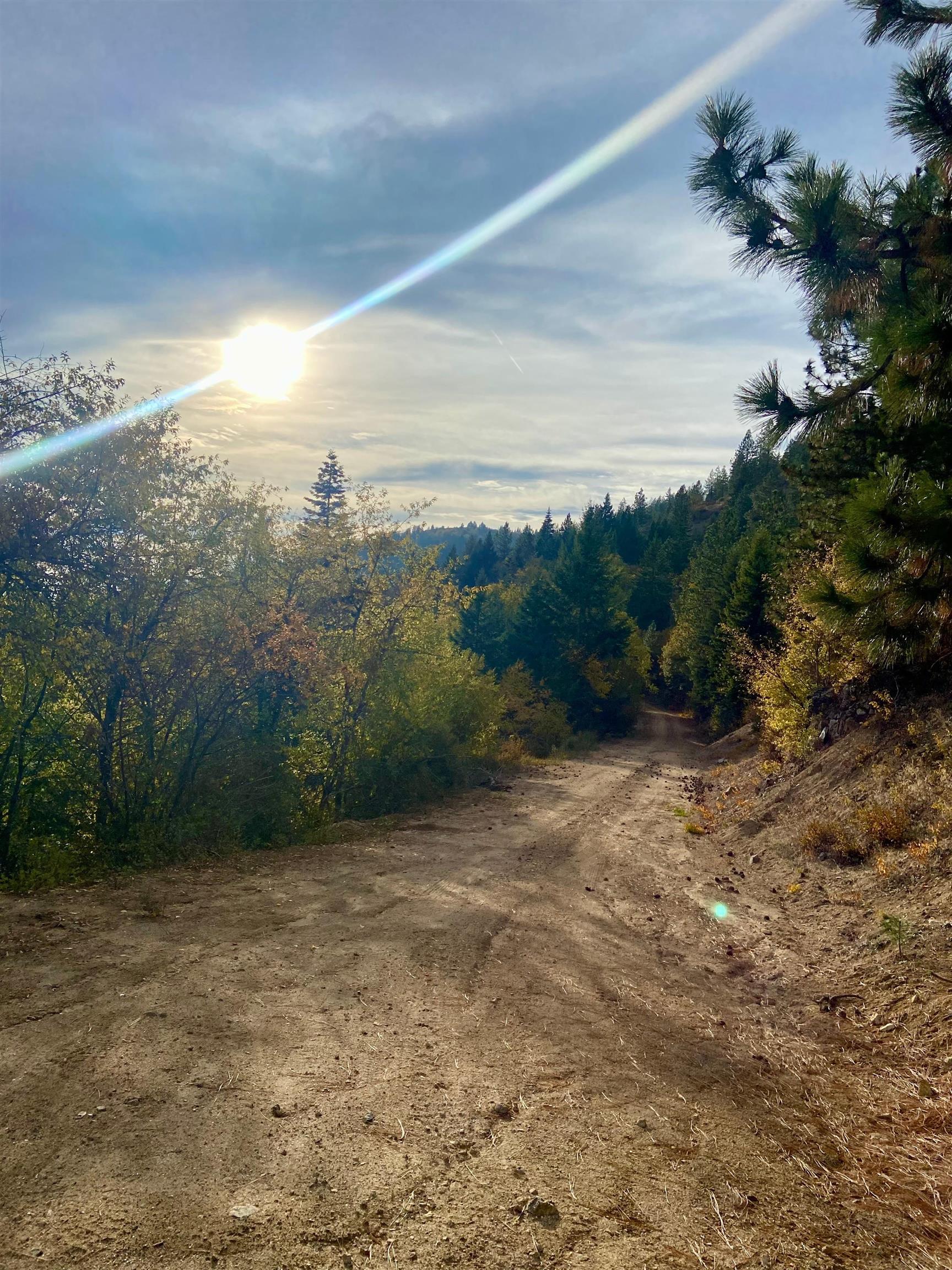 896 Rocky Mountain Road Newport, WA 99156 - Photo 1 of 22