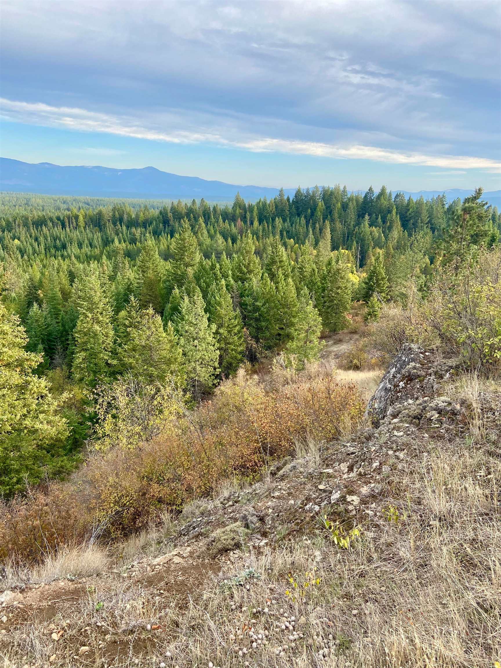 896 Rocky Mountain Road Newport, WA 99156 - Photo 11 of 22