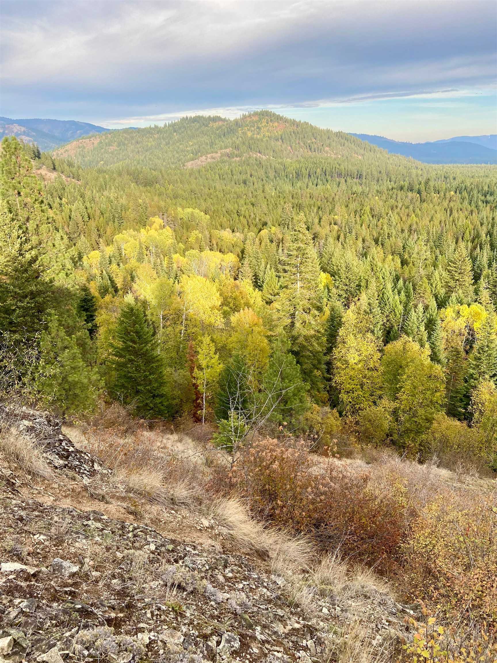 896 Rocky Mountain Road Newport, WA 99156 - Photo 12 of 22