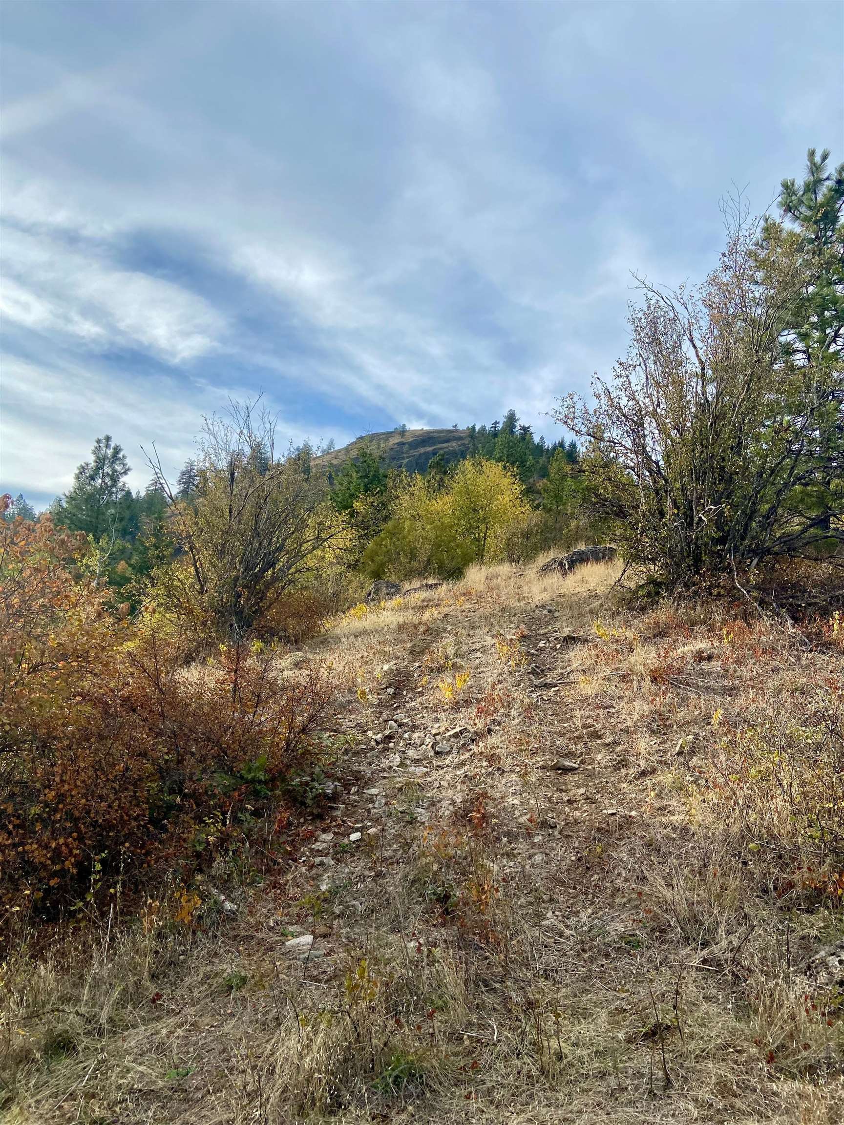 896 Rocky Mountain Road Newport, WA 99156 - Photo 13 of 22