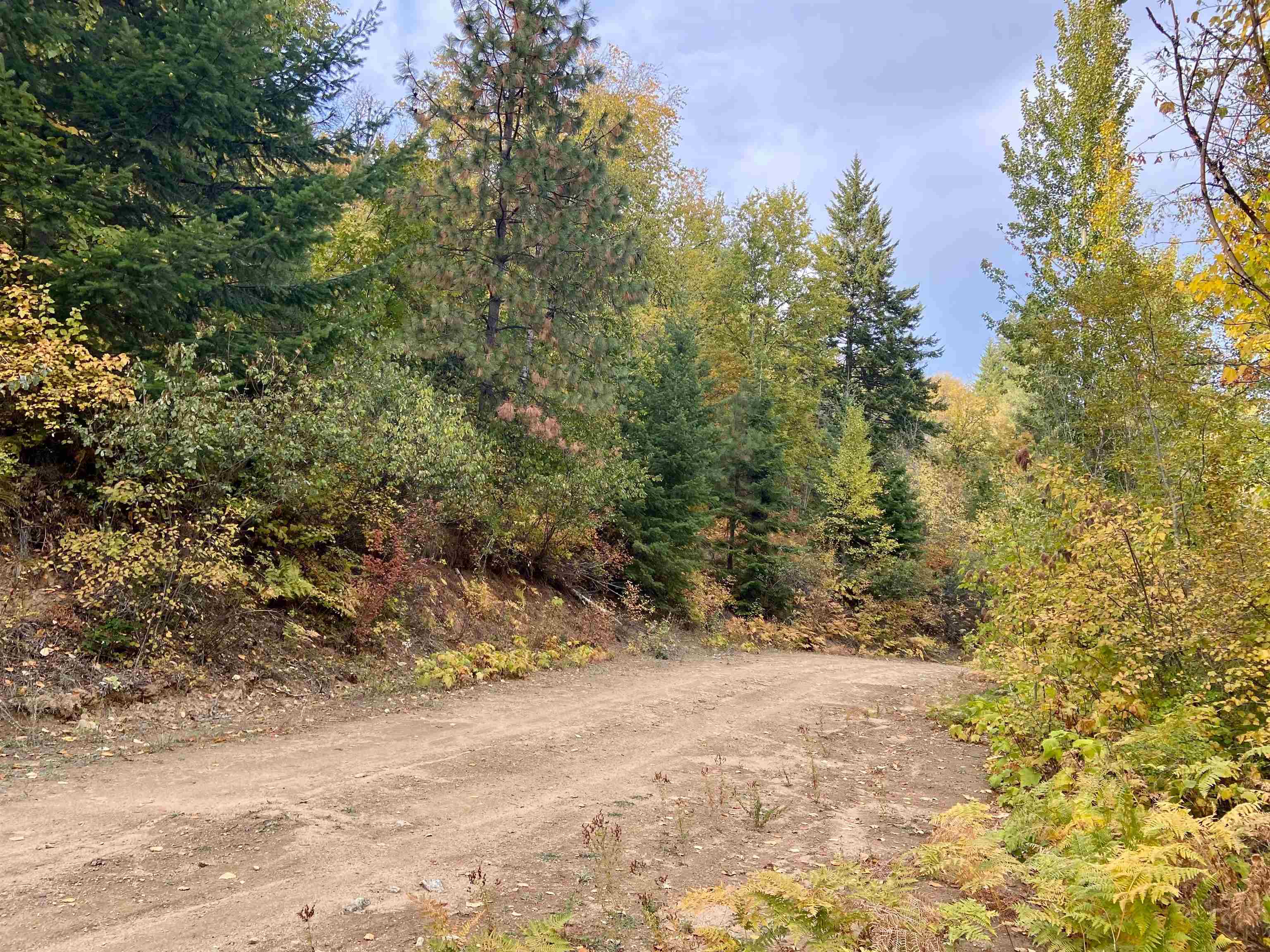 896 Rocky Mountain Road Newport, WA 99156 - Photo 14 of 22