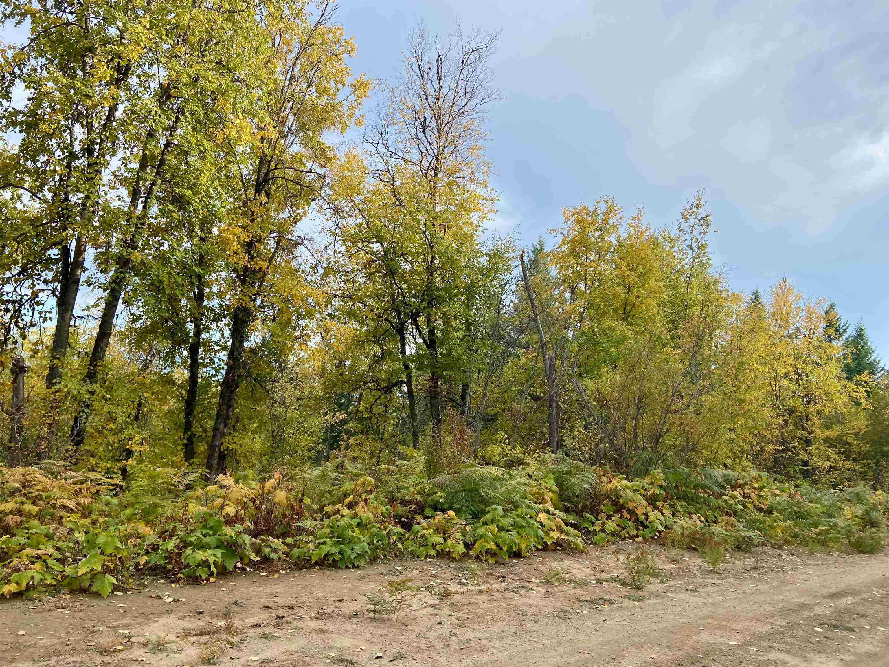 896 Rocky Mountain Road Newport, WA 99156 - Photo 15 of 22