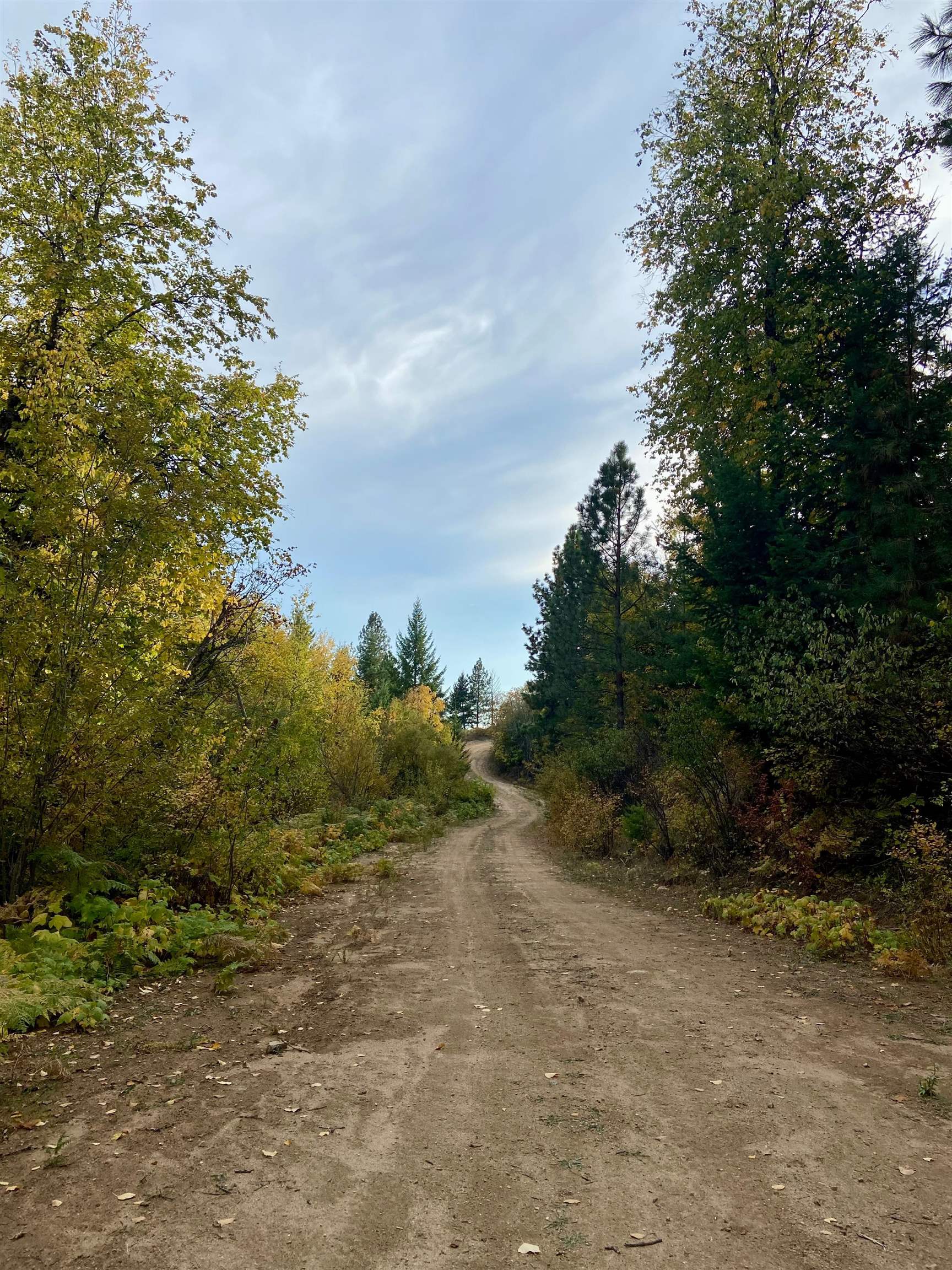 896 Rocky Mountain Road Newport, WA 99156 - Photo 16 of 22