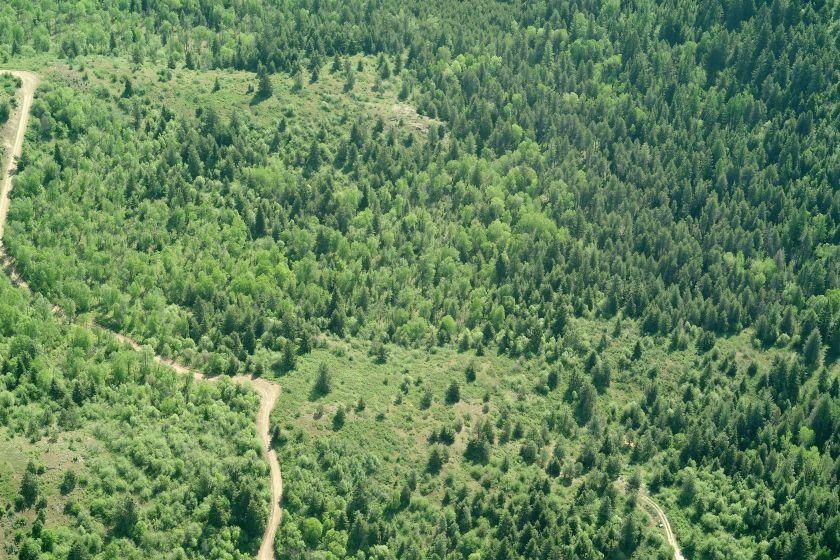 896 Rocky Mountain Road Newport, WA 99156 - Photo 20 of 22