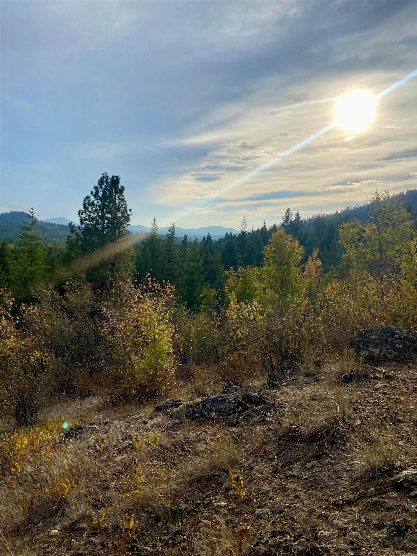 896 Rocky Mountain Road Newport, WA 99156 - Photo 2 of 22