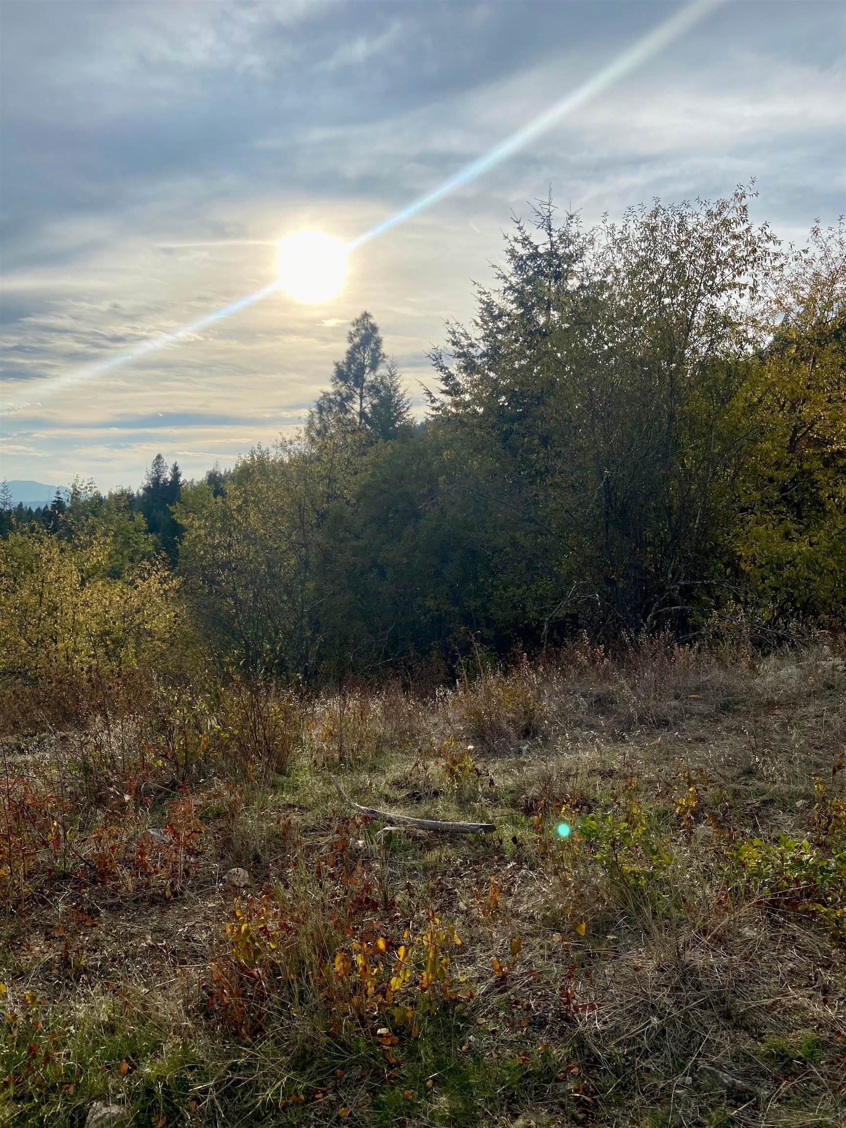 896 Rocky Mountain Road Newport, WA 99156 - Photo 3 of 22