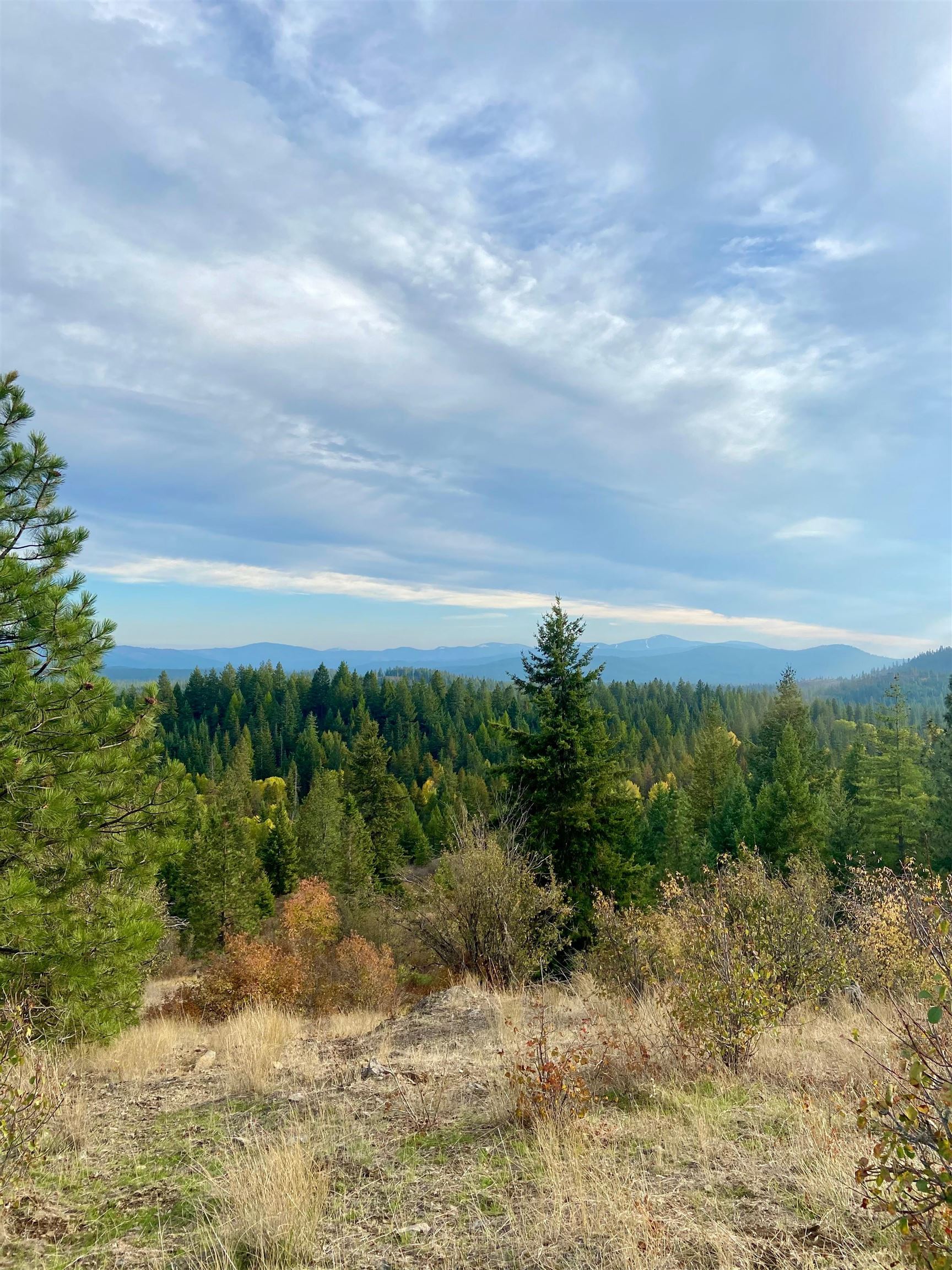 896 Rocky Mountain Road Newport, WA 99156 - Photo 5 of 22