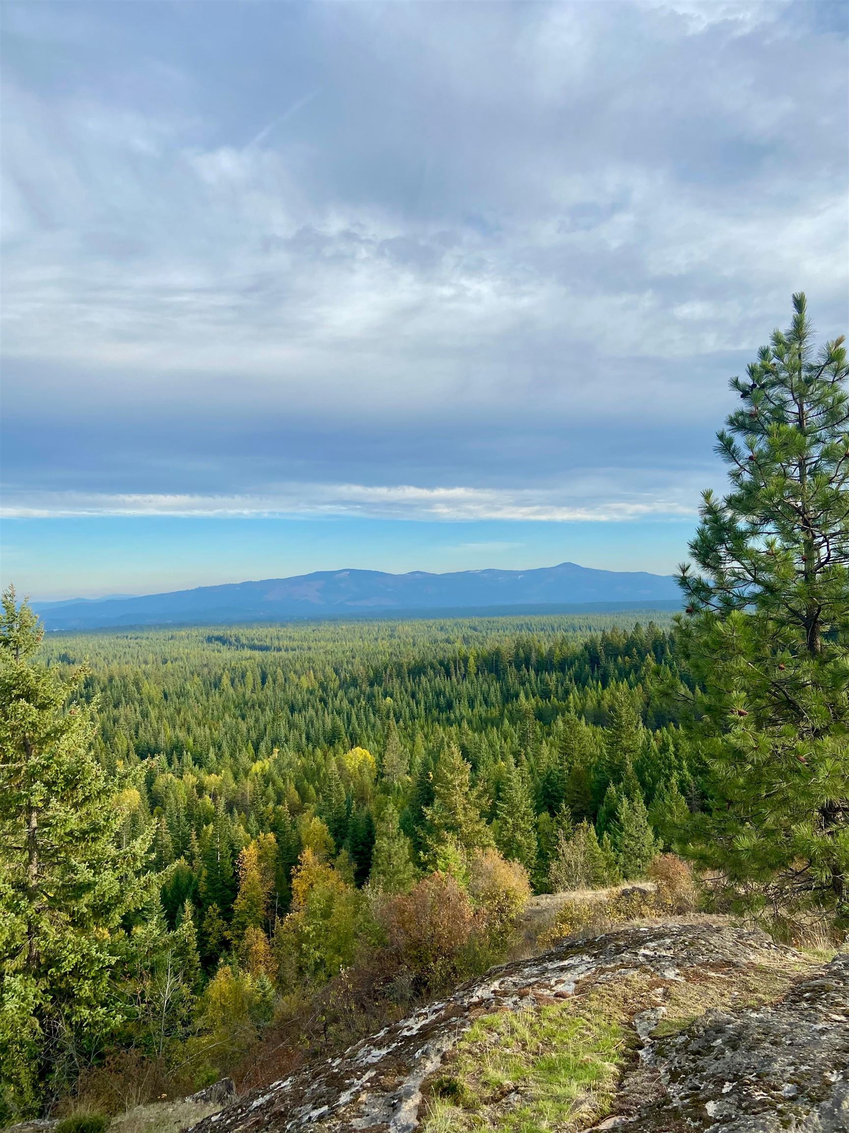 896 Rocky Mountain Road Newport, WA 99156 - Photo 7 of 22