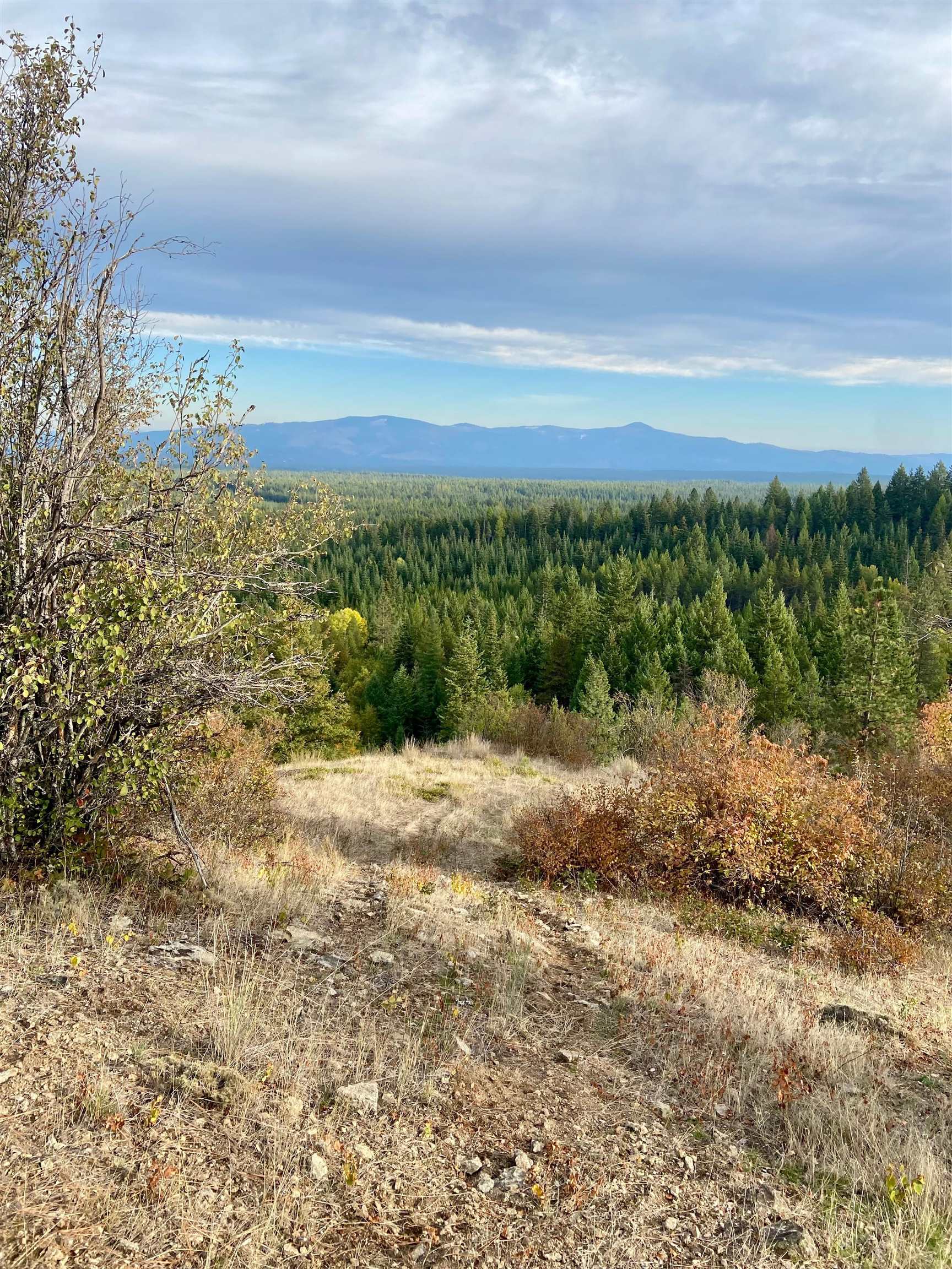 896 Rocky Mountain Road Newport, WA 99156 - Photo 9 of 22