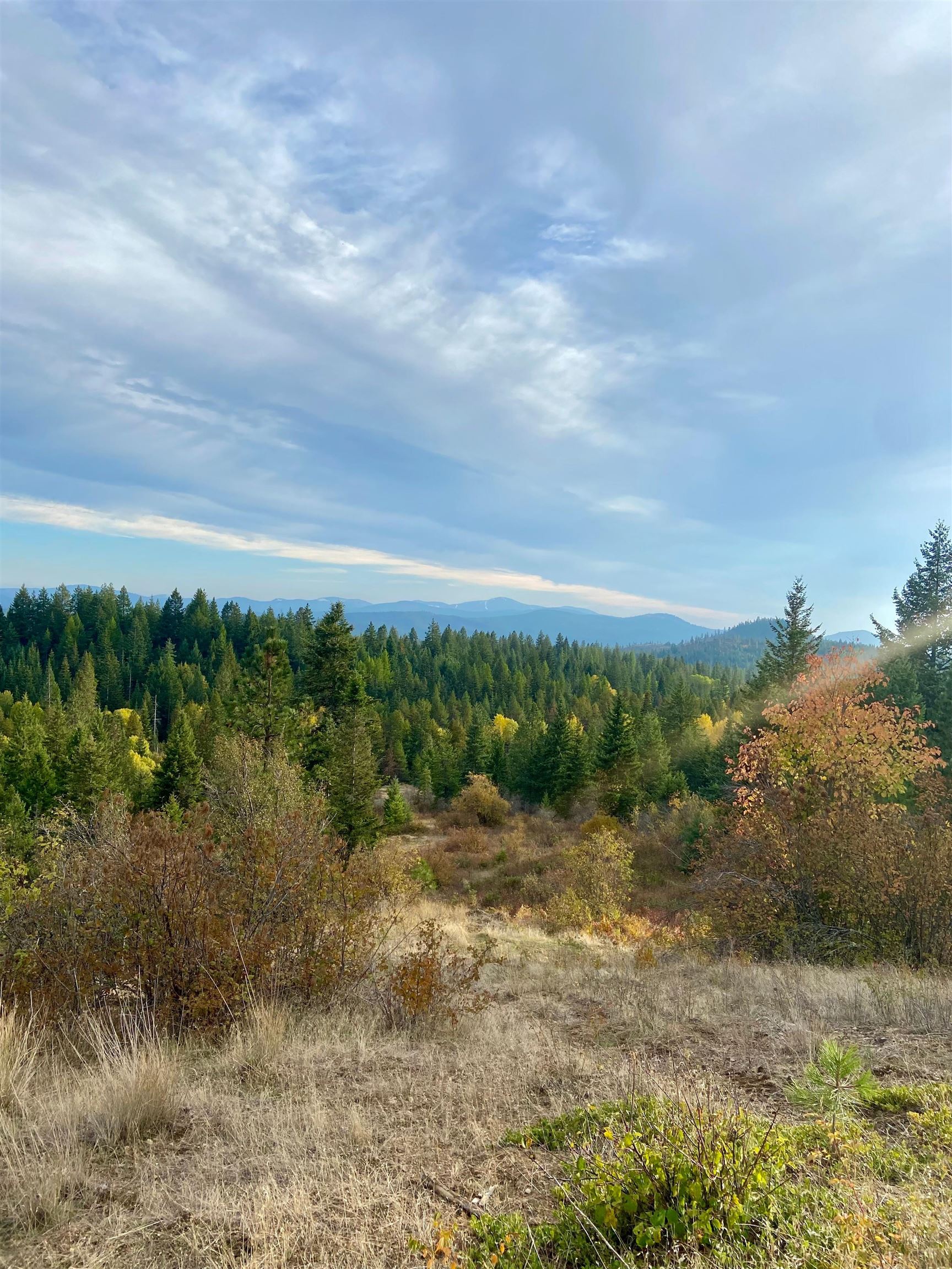 896 Rocky Mountain Road Newport, WA 99156 - Photo 10 of 22