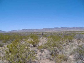 - Cortaro Road Yucca, AZ 86438 - Photo 5 of 5 Additional Photo