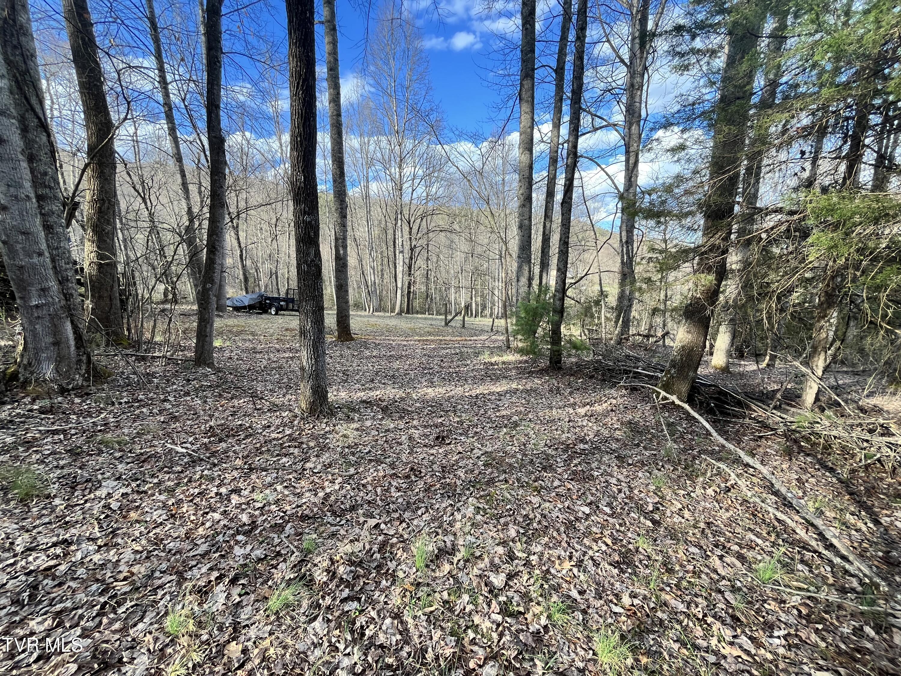 179 Carl Taylor Road Elizabethton, TN 37643 - Photo 22 of 31 Pasture 1