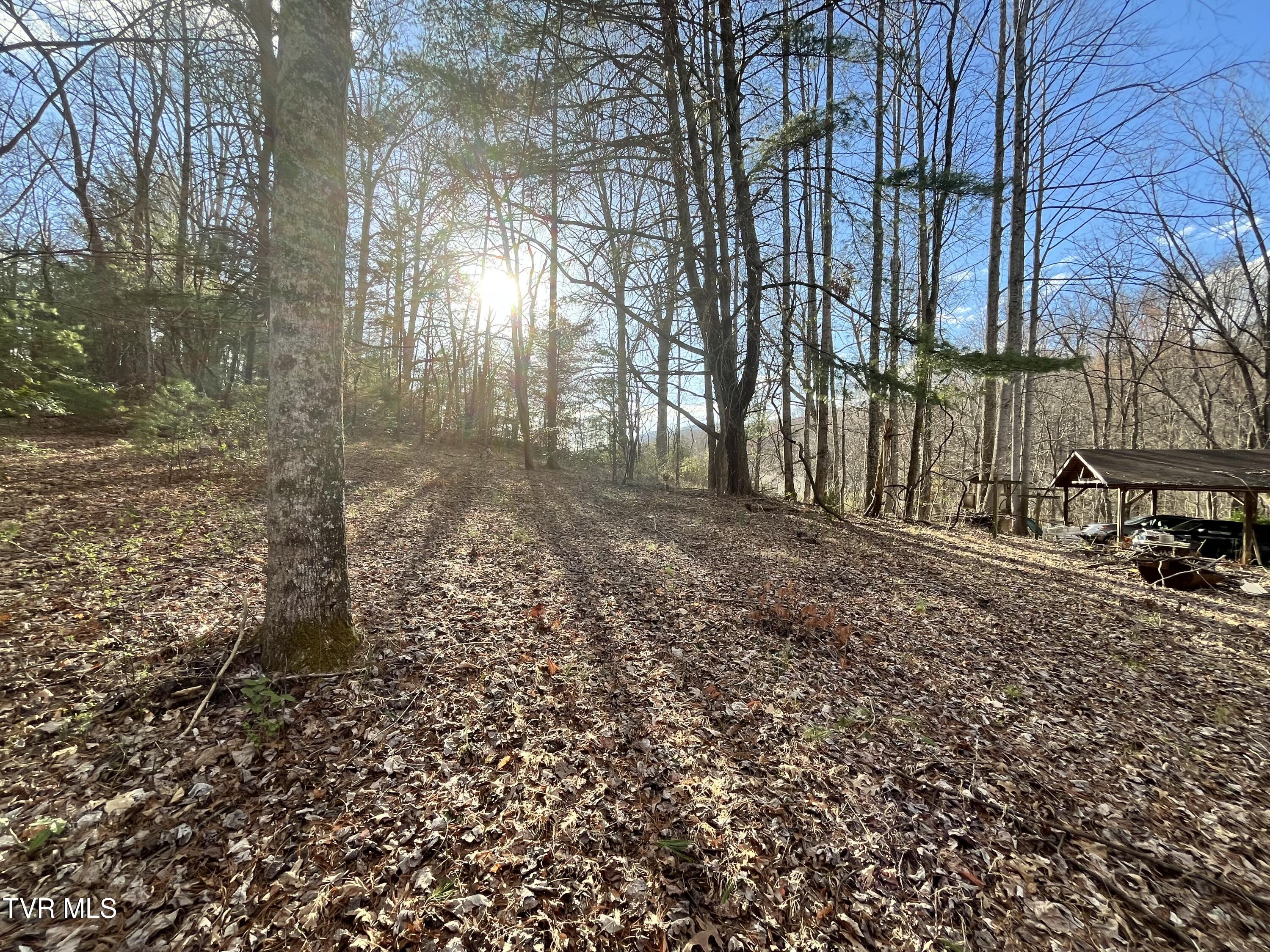 179 Carl Taylor Road Elizabethton, TN 37643 - Photo 23 of 31 Land